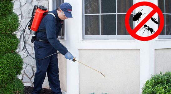 Muğla Bit İlaçlama böcek ilaçlama ve haşere kontrolü — ilaclama-tr.com
